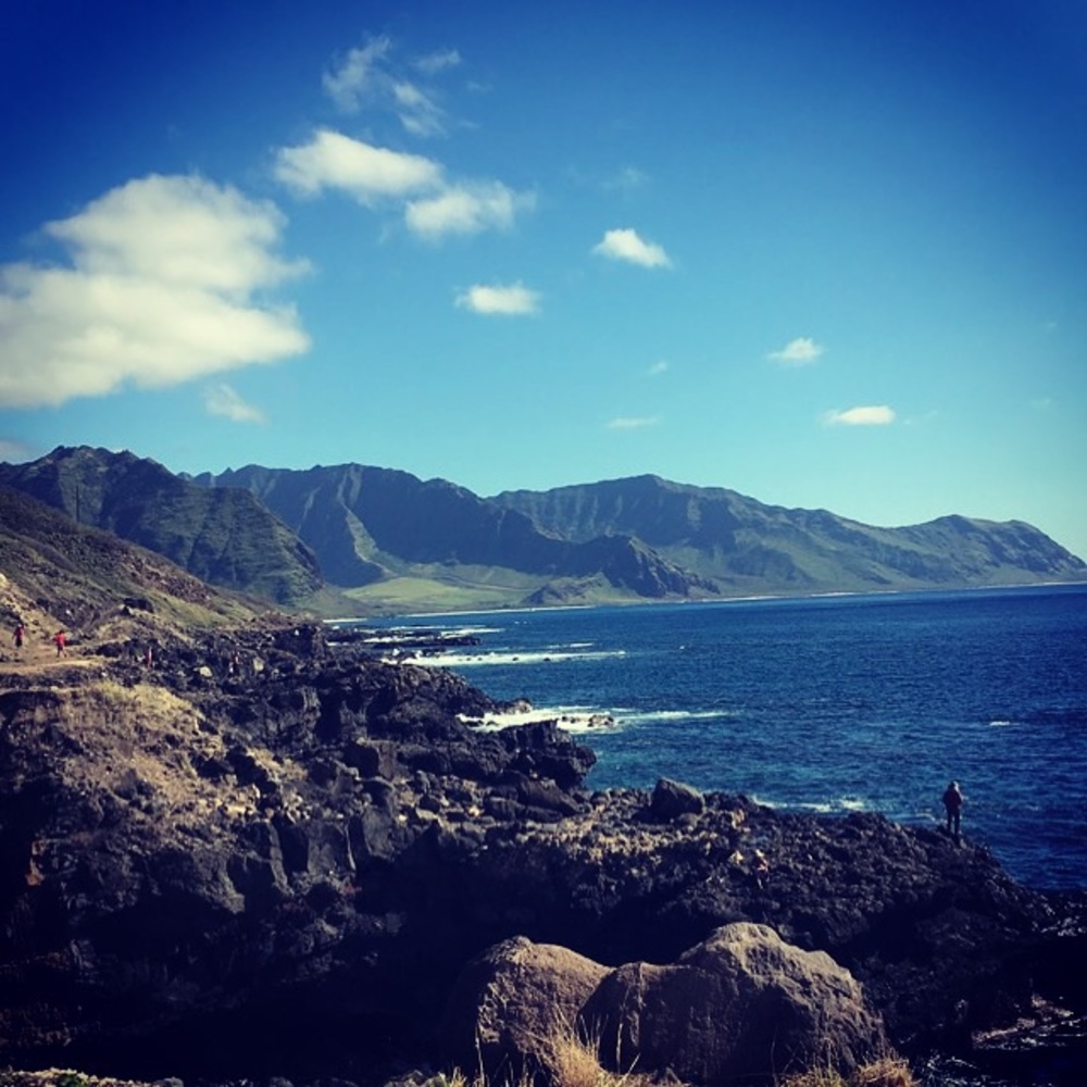 Meet your Posher, Nick